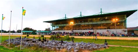 kingdom greyhound stadium tralee results.